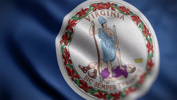 Virginia State Flag Angle
