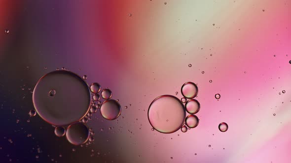 Abstract Colorful Food Oil Drops Bubbles 231