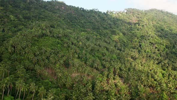 Aerial view over a tropical rainforest jungle in Ko Samui mountains, Thailand