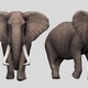 Elephant Walking Pack (Pack of 4) - VideoHive Item for Sale