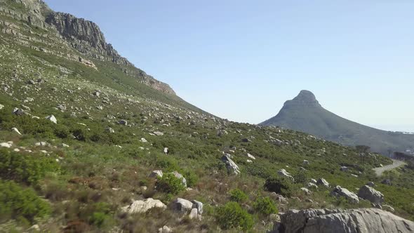 Low altitude drone flight over veldt, bushes and forestry at the bottom of Table Mountain revealing