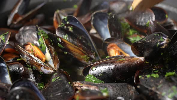 Mussels 20