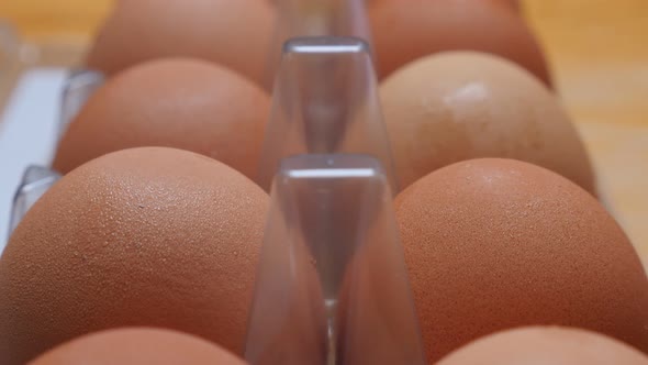 Egg box plastic with lot of organic eggs  in the row 4K 2160p 30fps UHD slow tilting footage - Plast