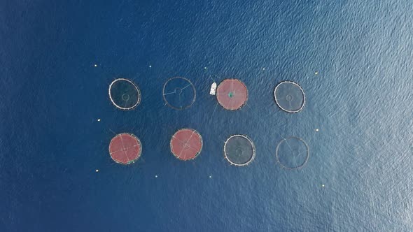 Drone Footage of Fishing Nets Within Bluish Ocean Waters
