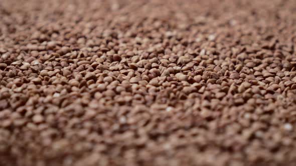 Raw Buckwheat Grains Rotate, Close-up