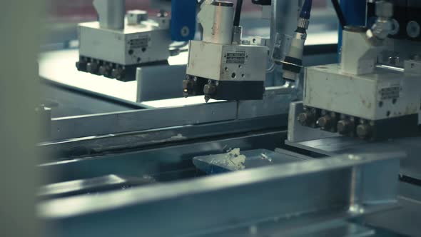 Carton Sheets Are Going Through the Plant Conveyor