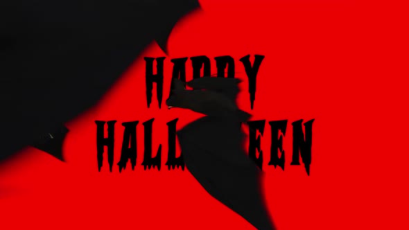 Bats Transition 02 alt