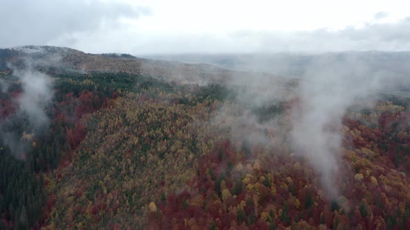 Autumnal Trees In The Mountain Forest With Clouds Above In Romania. - aerial drone shot