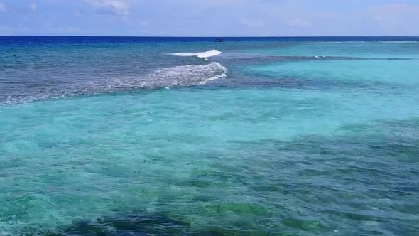 Aerial view landscape of shore beach wildlife by ocean with sand background