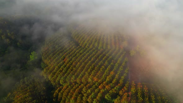 4K Drone Flying through the clouds at dusk or dawn. Aerial top cloudscape