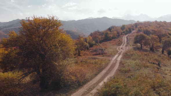 Aerial View of Cyclist in the Mountain Landscape with Autumn Forest