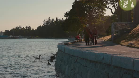 People walking and enjoying outdoor activities