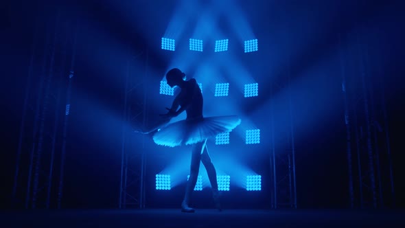 Graceful Silhouette Ballerina Doing a Workout in the Classroom. Smoke in the Rays of Blue Light