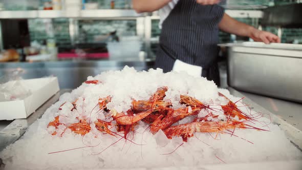 Modern Seafood Restaurant Fresh Fish and Shrimps on Ice Display Chef Choosing Tasty Ingredients