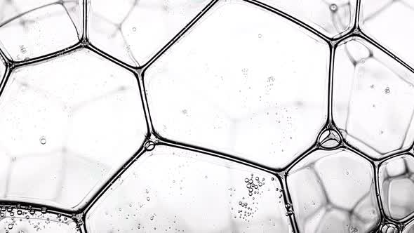 Soapsuds Close Up. alt