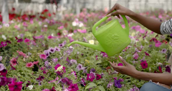 Smiling Woman Watering Plants at Green House