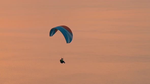 Flight of the at the Sunset