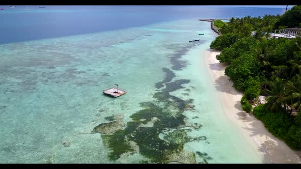 Aerial above tourism of relaxing resort beach wildlife by transparent water and white sandy backgrou