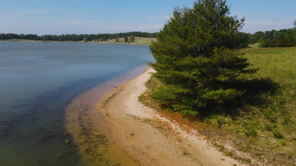 Track of the lush shoreline of pines and dune grass.