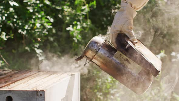 Caucasian male beekeeper in protective clothing using smoker to calm bees in a beehive