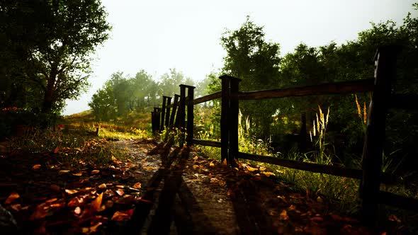 Landscape with Wooden Fence Grassy Meadow and Path