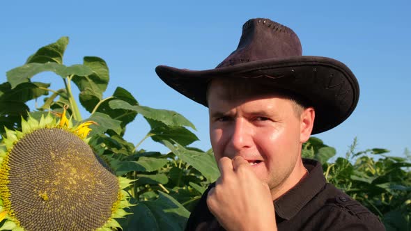 A Farmer Tastes Sunflower Seeds Right in the Field