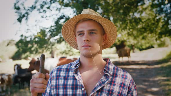 Portrait of Young Villager Man Shepherd in Straw Hat with His Flock of Cows on a Rural Background