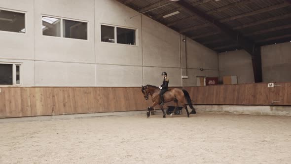 Young Woman Riding Horse Bareback In Paddock