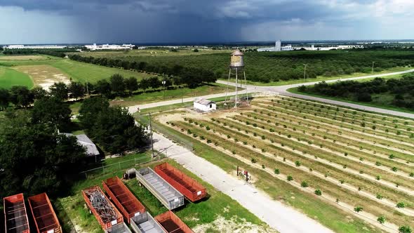 Orange Groves in Haines City, Florida.