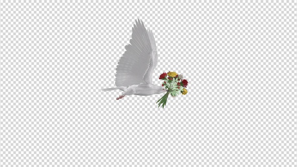 Dove with Bouquet - 4K Flying Cycle - Side View