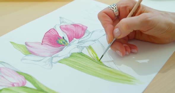 The Artist Paints Flowers. Watercolor Drawing. Hand Drawing with a Brush. Female Hand with a Brush