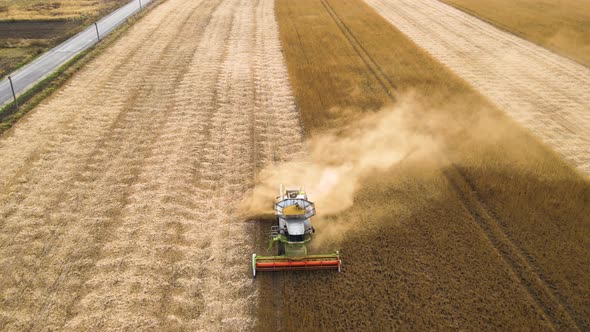 Aerial View of Combine Harvester Working During Harvesting Season on Large Ripe Wheat Field