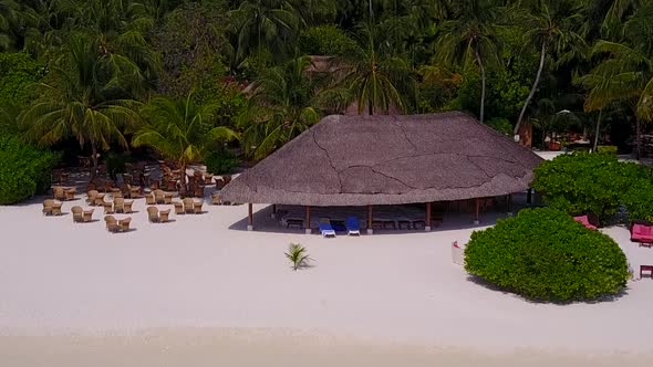 Aerial drone panorama of seashore beach wildlife by ocean with sand background