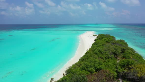 Aerial top down abstract of luxury shore beach wildlife by blue green lagoon with clean sandy backgr