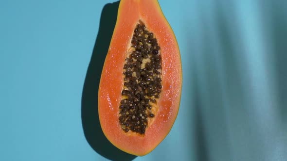 Tropical Fruit Papaya on a Colored Sunny Blue Background with Shadows of a Palm Tree