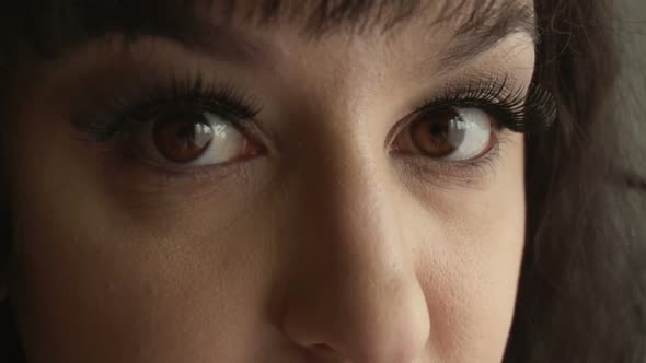 Female Face with Long False Eyelashes Brown Eyes and Black Hair Looks at the Camera