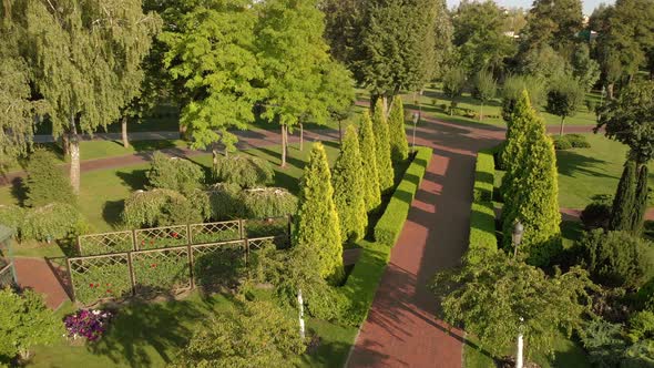 Flying Over Park Garden