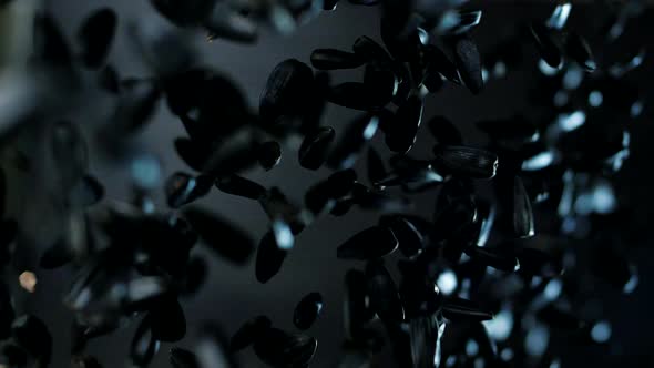 A Handful of Sunflower Seeds in A Black Shell Fly in Super Slow Motion