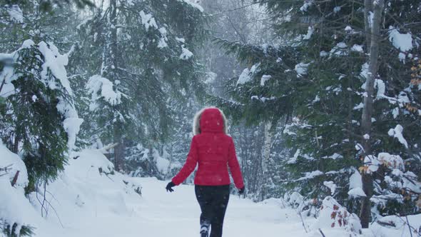 Running in the snow alt