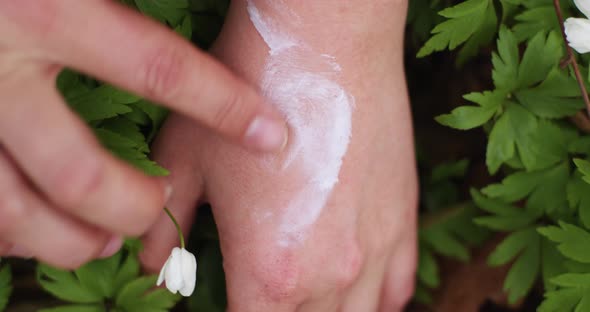 Natural cosmetics hand cream, female hands gently smear the cream, vegan, herbs, hands in grass