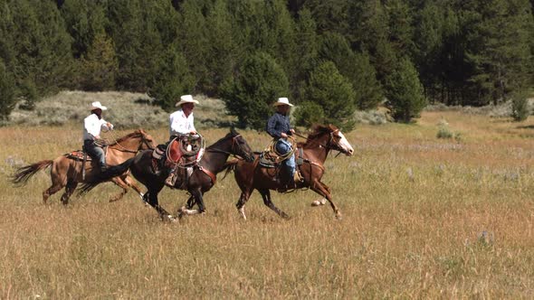Three cowboys on horses, slow motion
