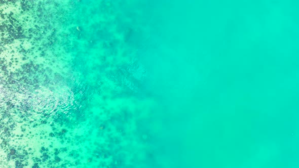 Tropical drone abstract view of a sandy white paradise beach and turquoise sea background 