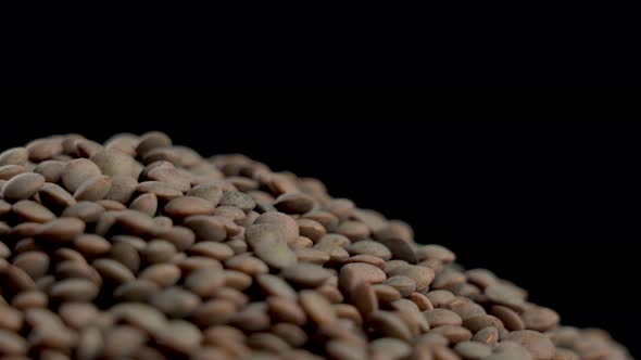 Indian raw brown lentil on a black background. Uncooked legume ingredient. Macro