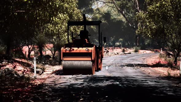 Road Roller Tractor in the Forest