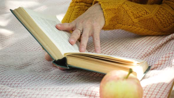 Hands Of Woman Reading A Book At The Park