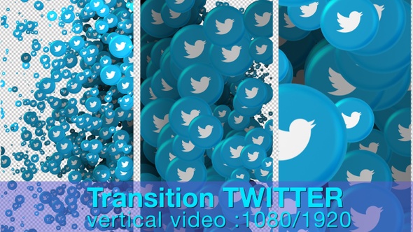 Transition Twitter Vertical Video