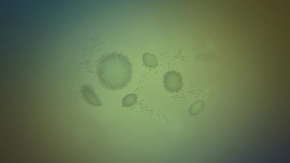 CG animation of macro close-up chloroplasts in algae cells under the microscope.