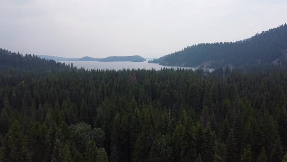 Drone zoom-out shot of Payette Lake from the dense, green forest near the Payette River in the Idaho