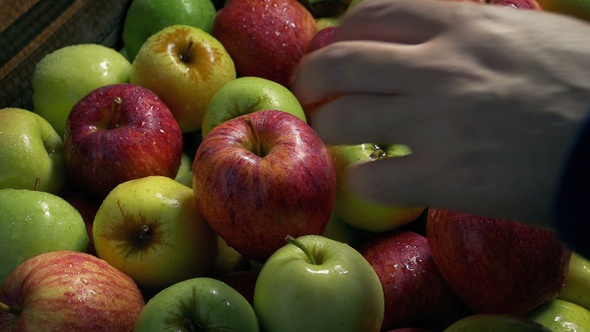 Man Picks Up An Apple - 2 Shots