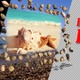 Sea Pebbles And Shells - Pack Of 4 - VideoHive Item for Sale